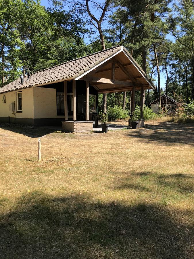 Vosseven 15 Haasje Villa Stramproy Buitenkant foto