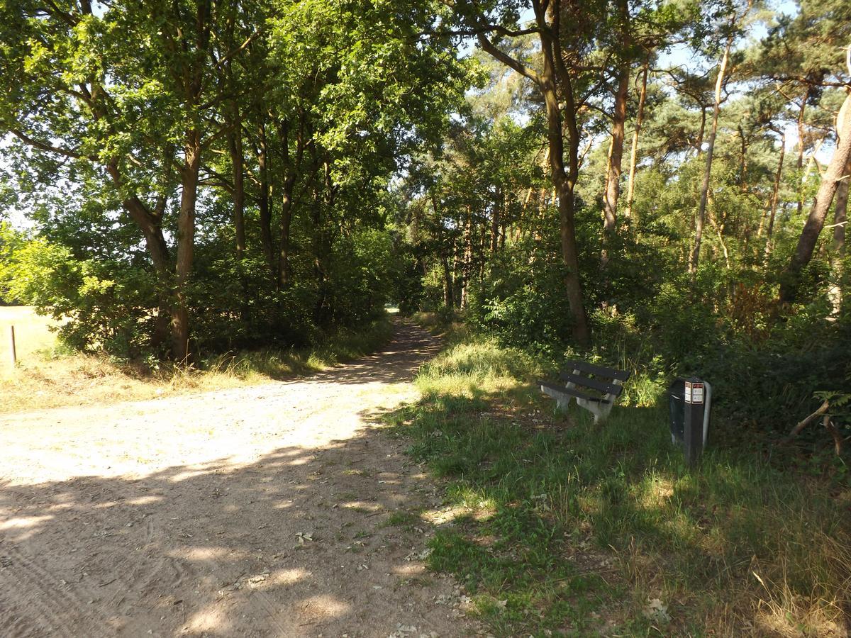 Vosseven 15 Haasje Villa Stramproy Buitenkant foto