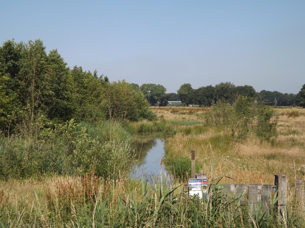 Vosseven 15 Haasje Villa Stramproy Buitenkant foto